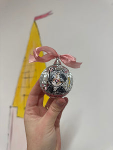 Bespoke Pet Disco Bauble