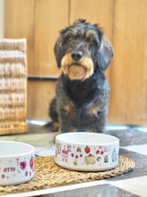 Load image into Gallery viewer, The Personalised Cute Doodles Dog Bowl
