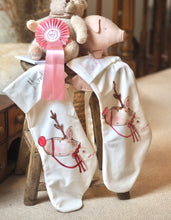 Load image into Gallery viewer, The ‘Red Reindeer’ Velvet Stocking
