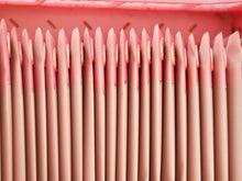 Load image into Gallery viewer, “Swan Mail” 2.0 🦢💌 The Hand Curated ‘Pink Day’ Bundle
