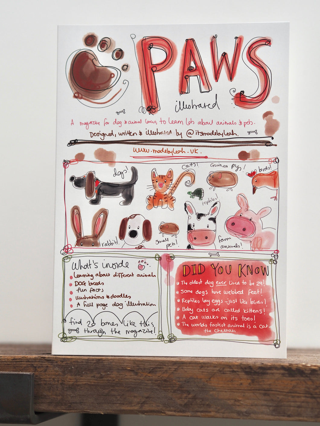 Paws Animal Magazine